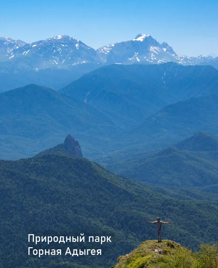6641c87d-6c7e-4207-8e32-9344848be50b-v11.jpg